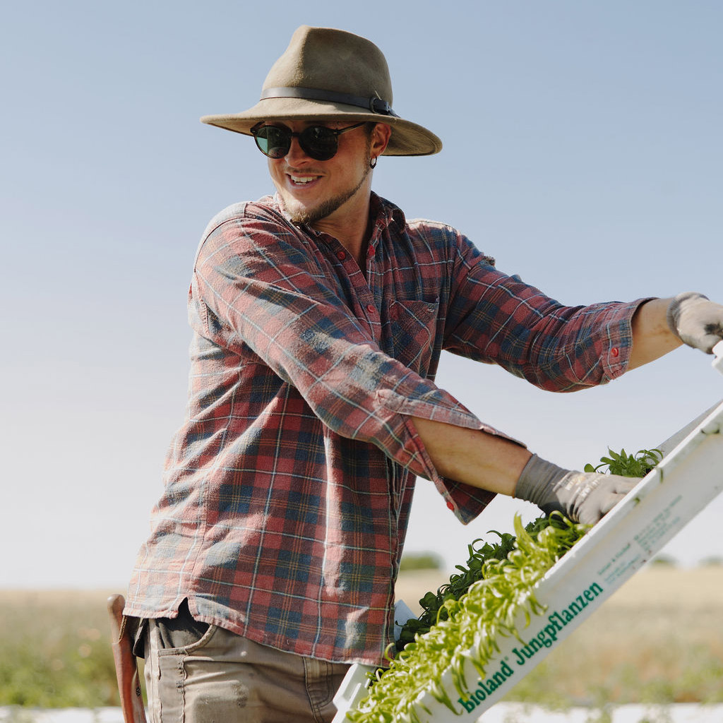 fotolimona.de_erdrausch2025-7265_1-1