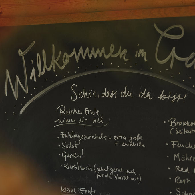 fotolimona.de_erdrausch2025-7325_1-1